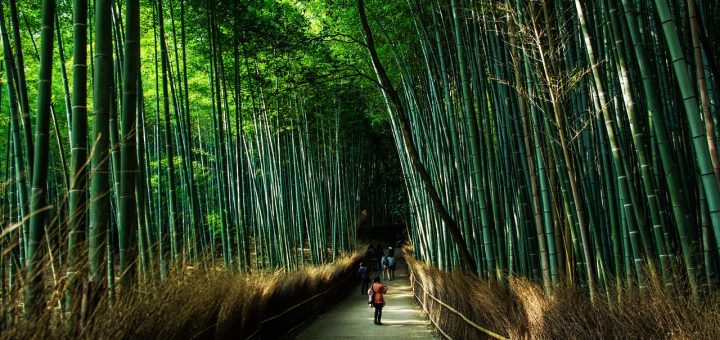 Kyoto